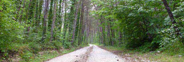 Il Cammino di San Francesco