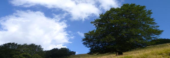 Il Monte Terminillo