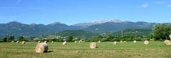 Agricoltura in Sabina